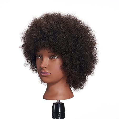 Mannequin Head with 100% Human Hair Afro Style - Cosmetology Doll Model 92092B0210