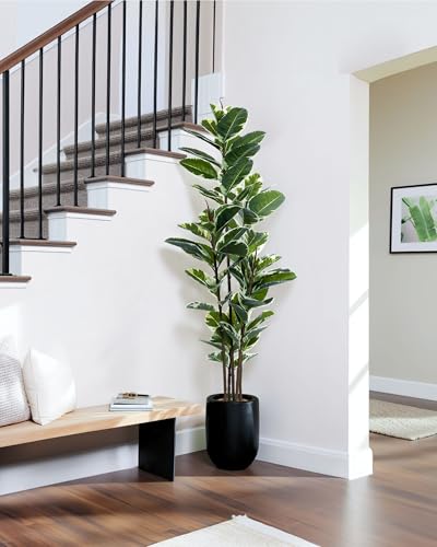 FLOWORLD 6ft Artificial Rubber Tree Plant Faux Ficus Tree with Pot - Large Indoor House Decor