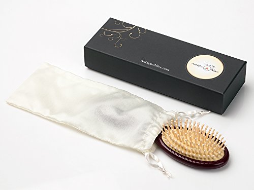 Antique Alive Butterfly Black Mother of Pearl Inlay Hair Brush - Detangling & Scalp Massage, Gift Ready