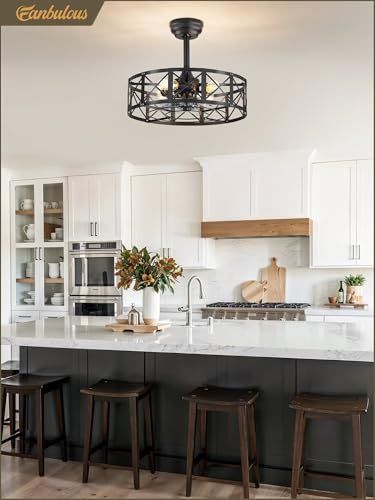 20-Inch Caged Ceiling Fan with Lights and Remote - Black Fanbulous