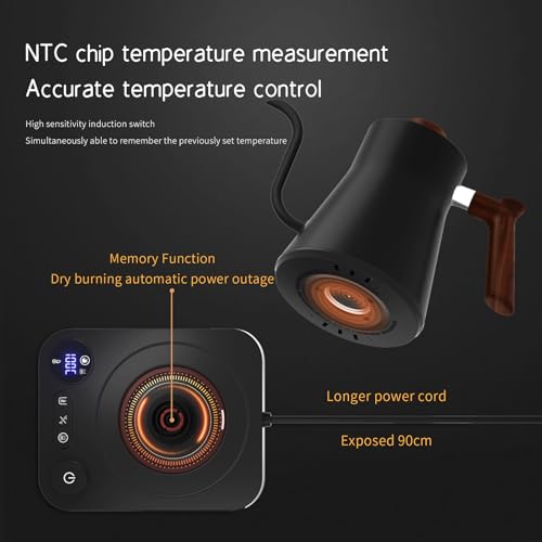 BQEUCE Black 0.9L Gooseneck Electric Kettle, Precise Temperature Control