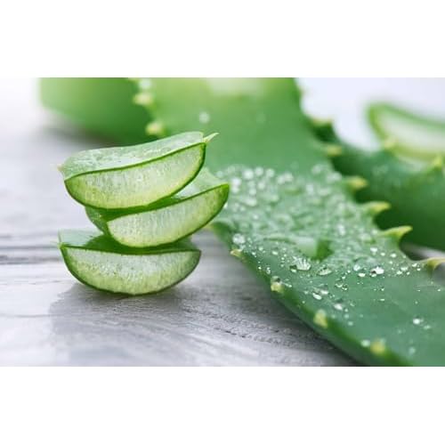 Dew Drops Hydrating Face Serum, Hyaluronic Acid Gel with Aloe and White Tea