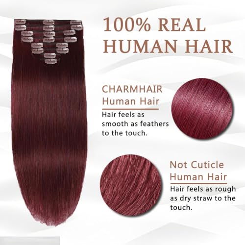 CHARMHAIR 16 Inch Remy Human Hair Clip-In Extensions Burgundy 90g - Easy Volume & Styling