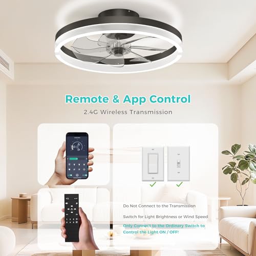 Franjulia 20-Inch RGB Low Profile Ceiling Fan with Lights & Remote - Black