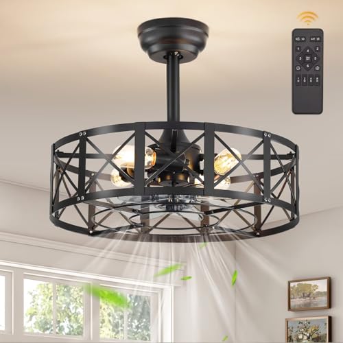 20-Inch Caged Ceiling Fan with Lights and Remote - Black Fanbulous