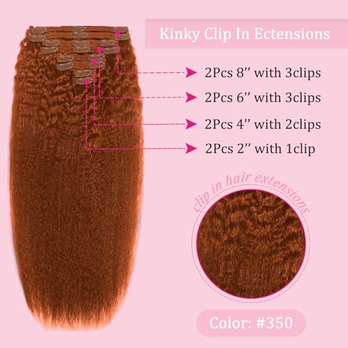 Ginger Kinky Straight Clip-In Hair Extensions 16 Inch 110g - Real Human Hair