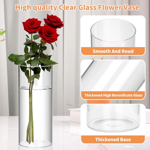 48Pcs Glass Cylinder Vases Set - 4,6,8,10 Inch for Centerpieces & Decor - High Borosilicate, Durable & Multi-Use