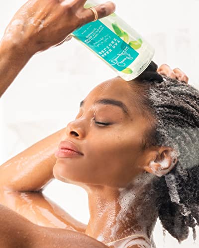 Shampoo - 16.9 Fl Oz Pack of 2, Sulfate-Free Micellar Hair Cleanser with Aloe
