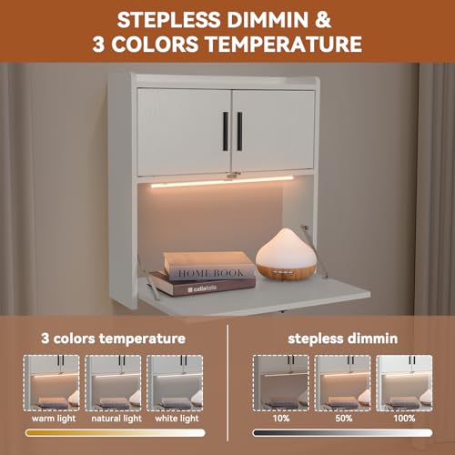 ARTETHYS White Wall-Mounted Folding Desk with LED Light and Storage