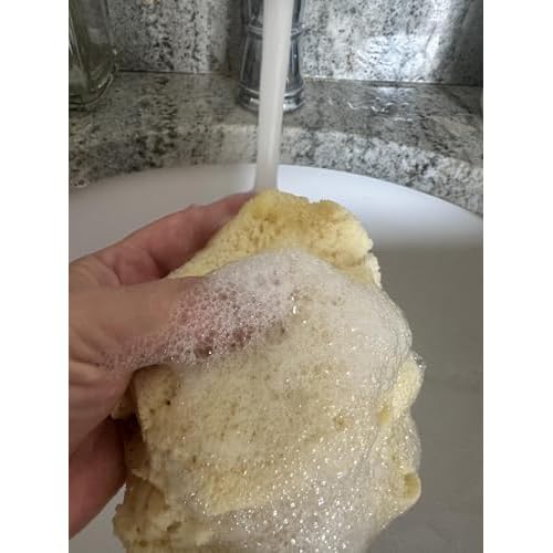 Spa Destinations Natural Sea Wool Sponge 5-6" Natural Renewable Resource Bath & Shower