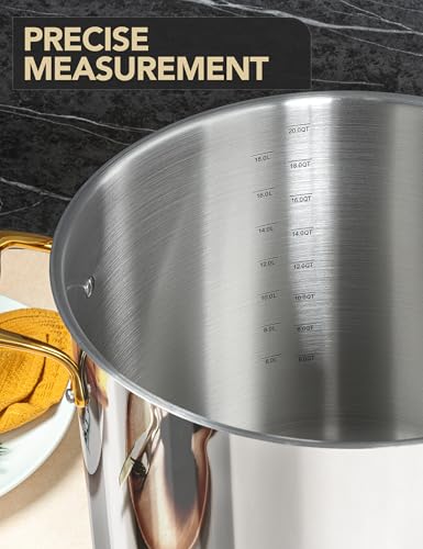 20 Quart Stainless Steel Stock Pot with Lid & Handles - Heavy Duty Cooking