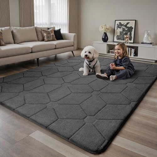Dark Grey 6x9 Area Rug for Living Room & Bedroom - Soft Non-Slip Carpet