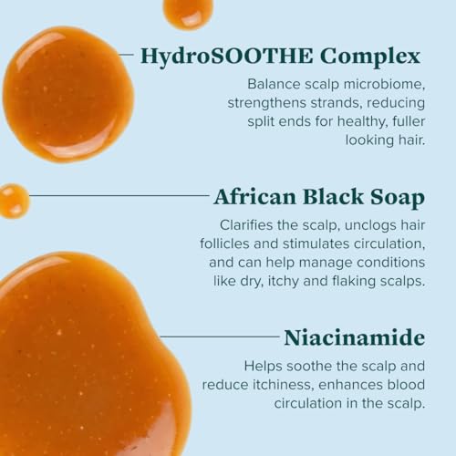 Organic Black Soap Hair Shampoo 8 Fl Oz Pack of 2 - Clarifying & Moisturizing