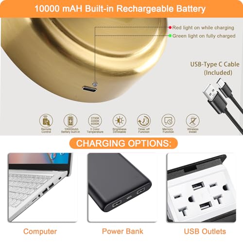 Brass Dimmable Battery Operated Picture Light 23.6inch with Remote & Timer - Tassuowell