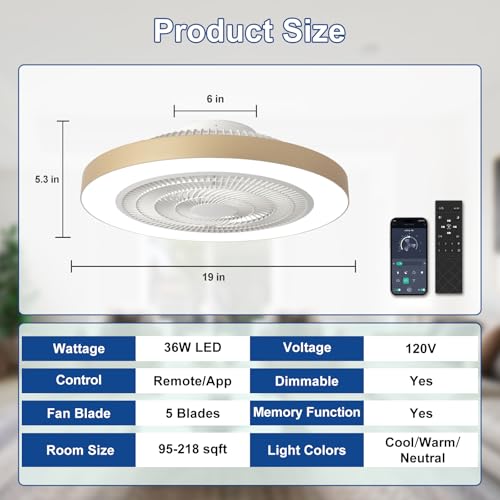 Depuley 19-Inch Gold Bladeless Ceiling Fan with Remote & App Control