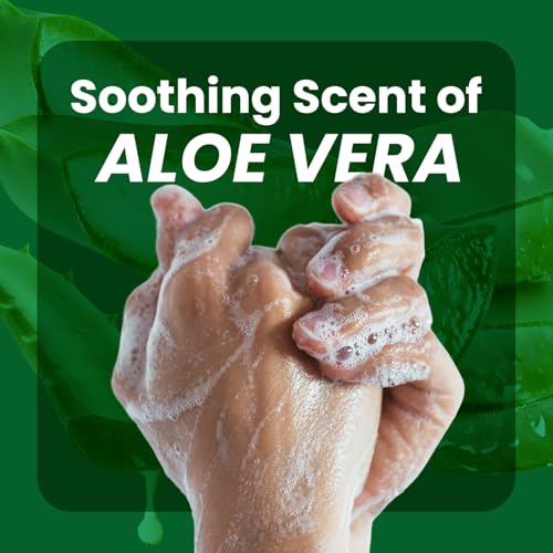 Berkley Jensen Aloe Vera Liquid Hand Soap Refill Pack of 2 - Gentle & Moisturizing, 64 oz