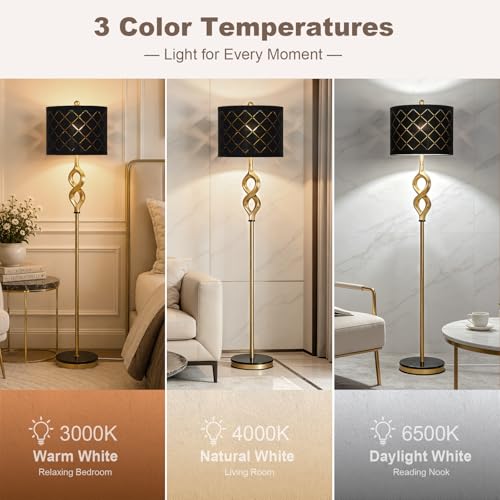 Black & Gold 65-Inch Modern Sculptural Floor Lamp with 3 Color Temperatures