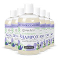 Ginger Lily Farms Lavender Chamomile Moisturizing Shampoo 12oz Pack of 6 - All Hair Types