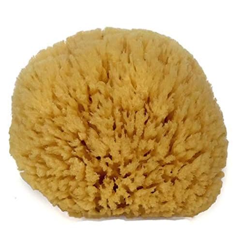 Natural Sea Sponge 6-7" by Spa Destinations Creating The at-Home Spa Experience