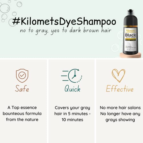 Black Hair Dye Shampoo 400ml Pack 2 - Instant Grey Coverage, Ammonia-Free, Home Color