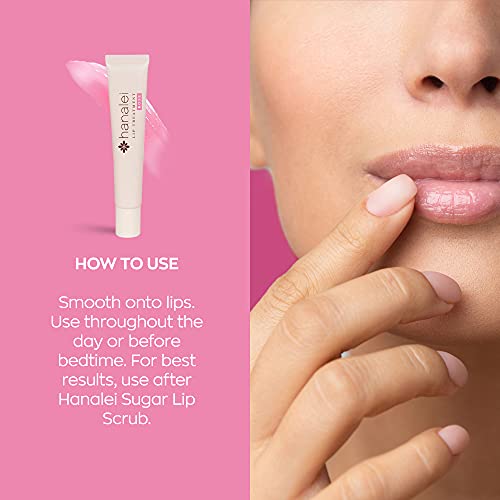 Hanalei Lip Treatment Bundle (Full-size and Travel-size 3 pack in Rose) | Made with Kukui Oil, Shea Butter, Agave, and Grapeseed Oil, Soothe Dry Lips (Cruelty free, Paraben free)