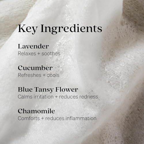 Loved01 Face & Body Cleansing Wipes 2 Pack - Green Tea & Lavender, 48 Count