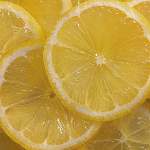 L'Occitane Citrus Verbena Fresh Shampoo 8.4 fl oz - Gentle, Purifying Hair Care