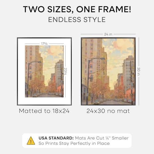 Carbon Black Homeforia 24x30 Metal Picture Frame with 18x24 Matte Mat and Glass