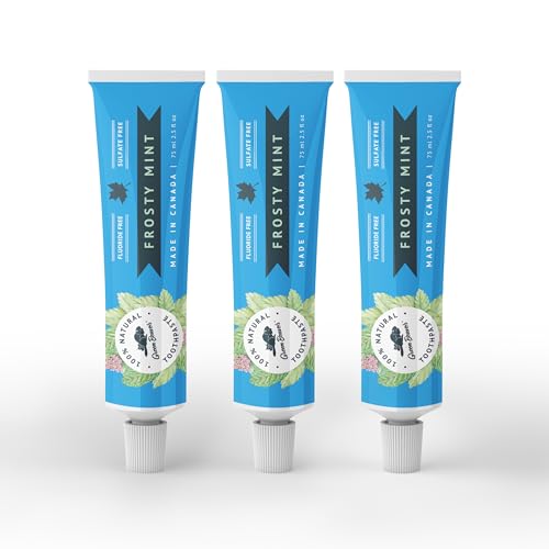 Frosty Mint Natural Organic Vegan Toothpaste - Fluoride & Gluten Free, 75ml, 3 Pack
