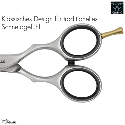 Professional 6-Inch Hairdressing Shears - Stainless Steel Salon Scissors, Satin Finish, German Made