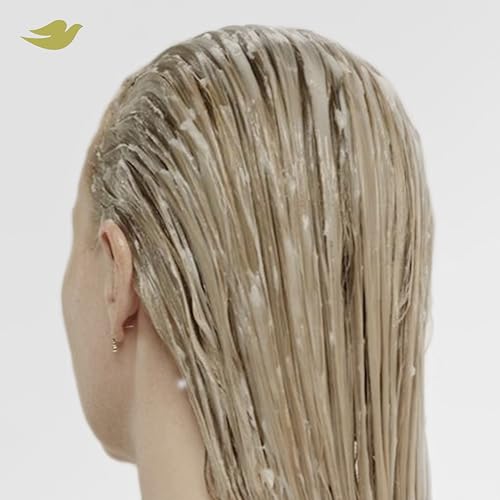 Dove Bond Strength Shampoo & Conditioner Set with 10-in-1 Serum Mask for Damaged Hair
