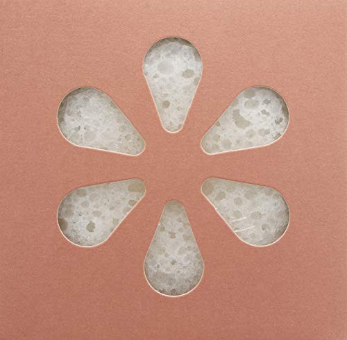 Kai Body Buffer Exfoliating Bath Sponge Duo with Built-In Body Wash