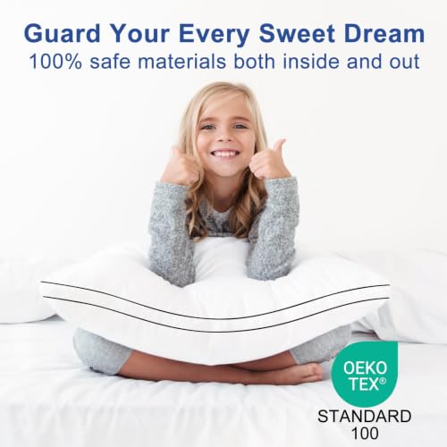 Queen Size Set of 4 Gusseted Fluffy Pillows - Black Edge, Breathable Microfiber