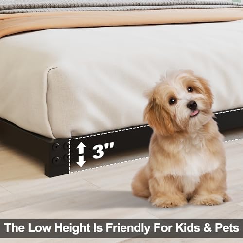 Queen Low Profile Bed Frame 3 Inch Heavy Duty Platform No Box Spring