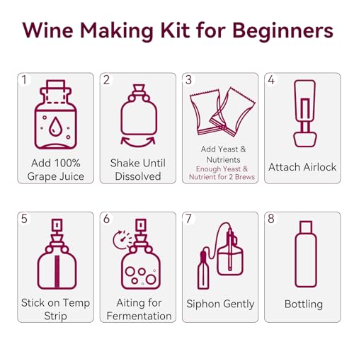 Home Brewing Wine Making Kit - Complete Grape Juice Fermentation Set for Beginners, 1-Gallon Jar & Bottles