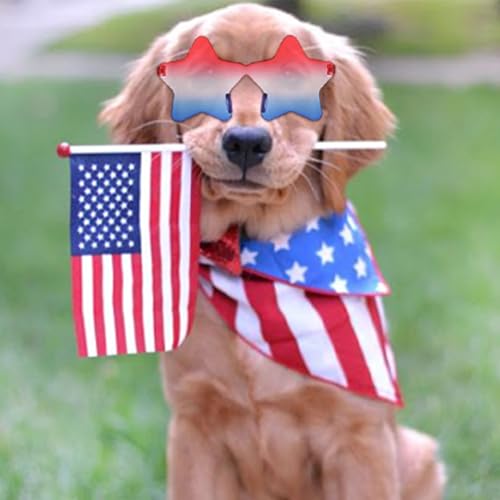 Mysense 4th of July Outfits for Women,4th of July Accessories Set with Red White and Blue Body Glitter,3 USA Flag Sunglasses,9 Beaded Necklaces,6 Bracelets,Fourth of July Outfit Women Kids