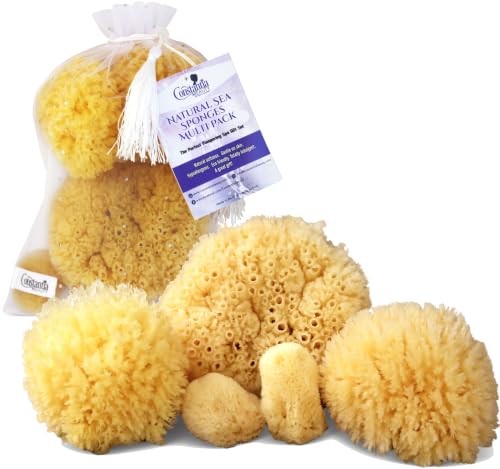 Constantia Beauty Natural Sea Sponges 5pk Gift Set in Box for Bath & Facial Care