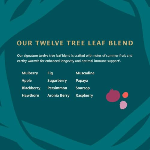 Longevity Blend Loose Leaf Tea - Organic Fruit Tree Leaf Infusion 30 Servings