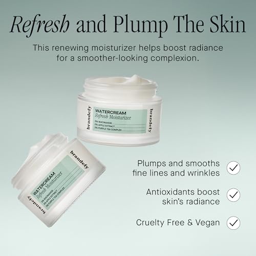Lightweight Hydrating Water-Based Face Moisturizer with Niacinamide & Antioxidants