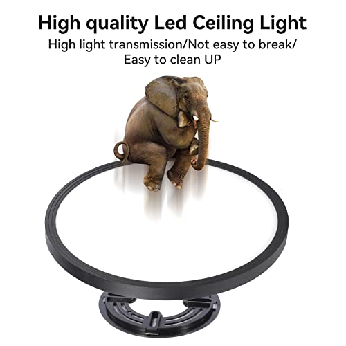 Black 8-Pack 12 Inch 3200LM Slim Flush Mount LED Ceiling Lights 6000K