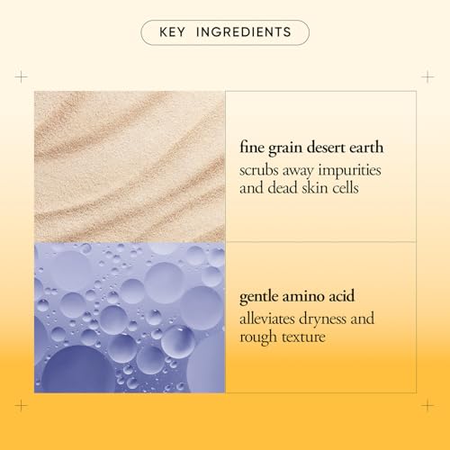 Philosophy Microdelivery Exfoliating Facial Wash 8.24 Fl Oz – Gentle Daily Cleanser with Fine Grain Desert Earth & Amino Acids