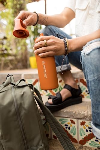 LifeStraw Go Series Insulated Steel Water Filter Bottle 24 oz - Thistle Purple