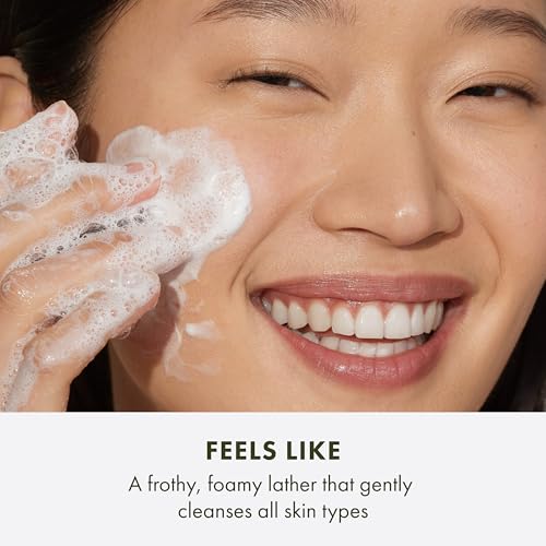 Origins 2-Piece Checks and Balances Frothy Face Wash Bundle Set for Home & Away | Gently Cleanses All Skin Types | With Mint