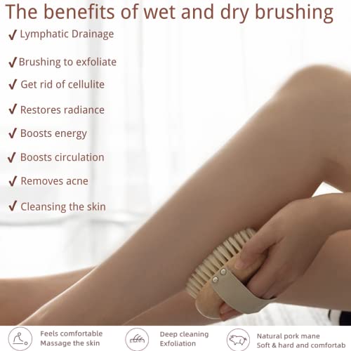 Ergonomic Premium Wood Body Brush for Wet & Dry Use - Easy to Carry, Soft Bristles Exfoliate Dead Skin & Cellulite, Ideal for Dry Brushing, Enhances Skin Health & Circulation