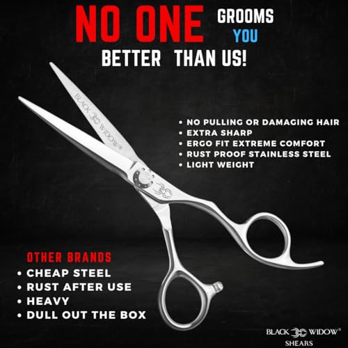 Professional Hair Cutting Shears & Thinning Scissors Kit 6" Japanese Steel