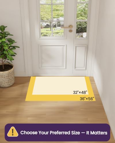 DEXI Ultra Thin Indoor Door Mat 36x56 Beige Non Slip Entrance Rug