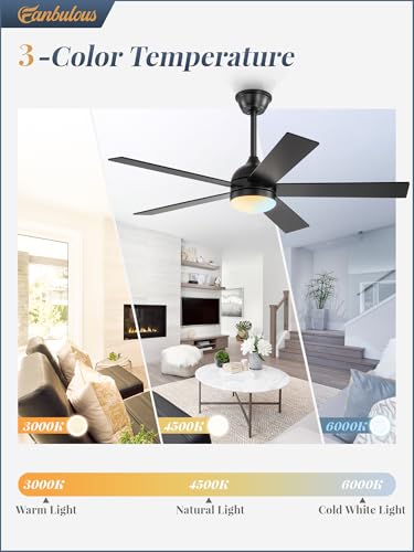 Fanbulous 48 Inch Black Ceiling Fan with Light & Remote, Reversible Blades, Dimmable LED