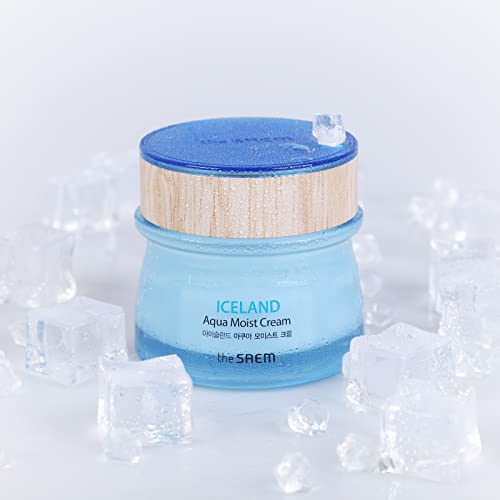 THESAEM Iceland Aqua Moist Cream - Intensive Hydrating Face Moisturizer with Icelandic Mineral Water, Kelp & Marine Active Ingredients - Deep Moisture Barrier Cream for Dry Sensitive Skin, 2.02 oz.