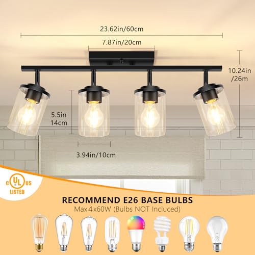 FadimiKoo 4-Lights Black Semi-Flush Track Light with Clear Glass Shades (Black) - Rotatable Heads