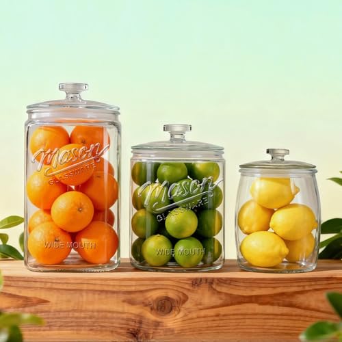 2 Pack 1 Gallon Glass Cookie Jars with Airtight Lids for Food Storage & Sourdough Starter